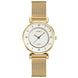 Analog Watch for Women with Gold Mesh Metal Strap and Round Dial for Casual & Formal Wear
