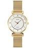 Analog Watch for Women with Gold Mesh Metal Strap and Round Dial for Casual & Formal Wear